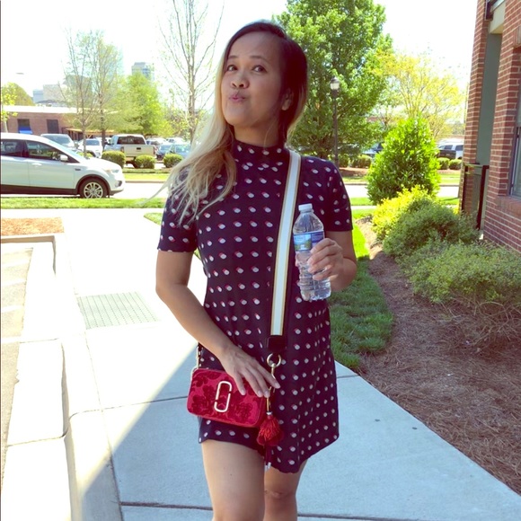 Meet your Posher, Coco - Picture 2 of 2